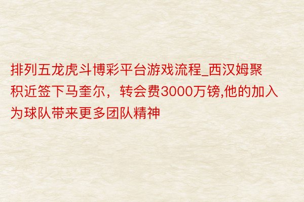 排列五龙虎斗博彩平台游戏流程_西汉姆聚积近签下马奎尔，转会费3000万镑,他的加入为球队带来更多团队精神