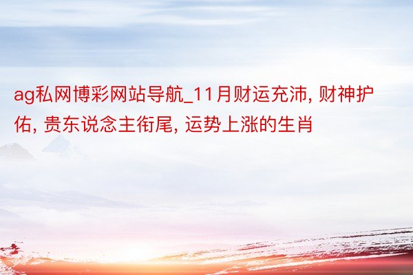 ag私网博彩网站导航_11月财运充沛, 财神护佑, 贵东说念主衔尾, 运势上涨的生肖